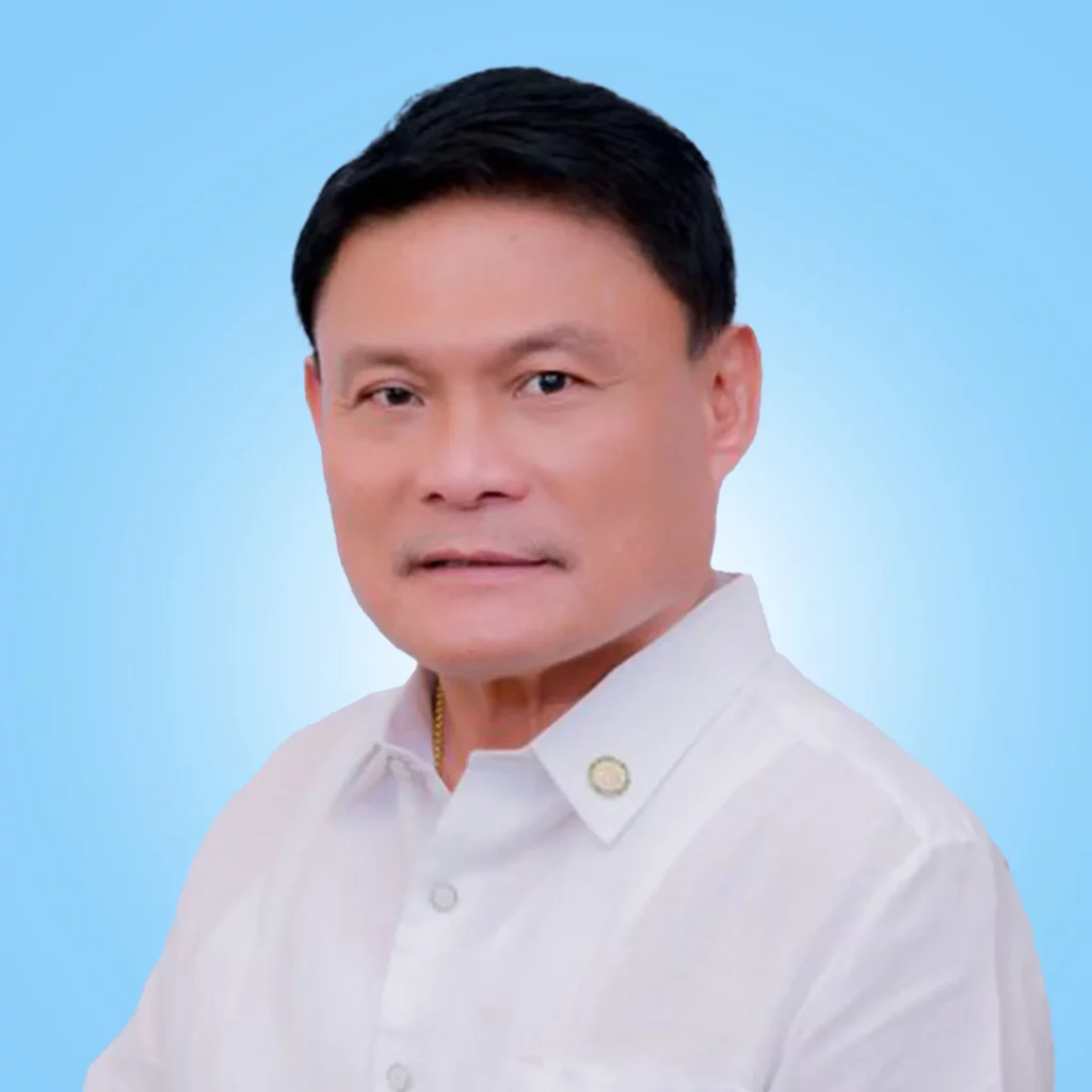 PDP Laban Damian Mercado